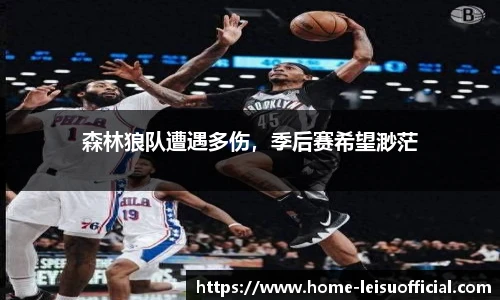 森林狼队遭遇多伤，季后赛希望渺茫